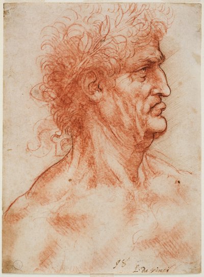 Virile Head in Profile Crowned with Laurel by Leonardo da Vinci